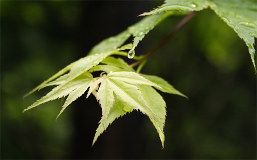 儿童智能手表设置时间,电子手表如何调整时间?